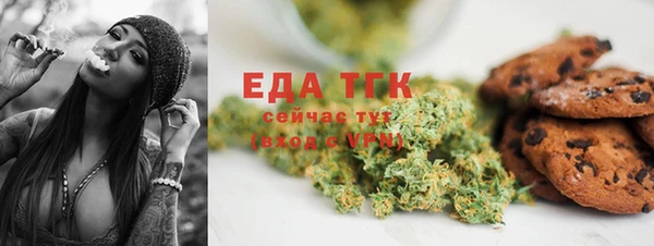мдпв Осташков