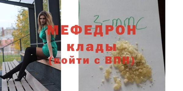 индика Осинники