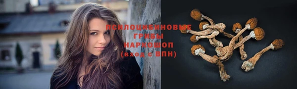 apvp Абдулино