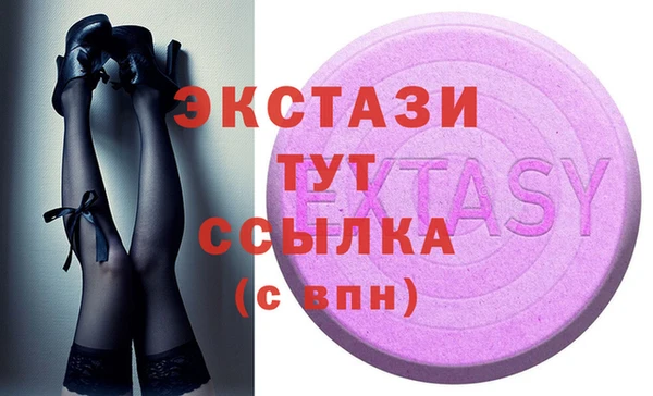 индика Осинники