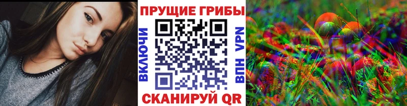хочу Жердевка Псилоцибиновые грибы ЛСД