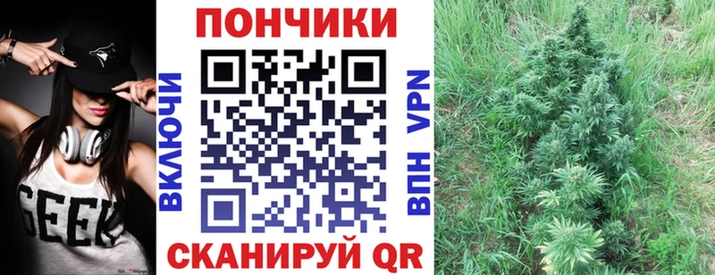 МАРИХУАНА White Widow  купить наркотики сайты  Жердевка 